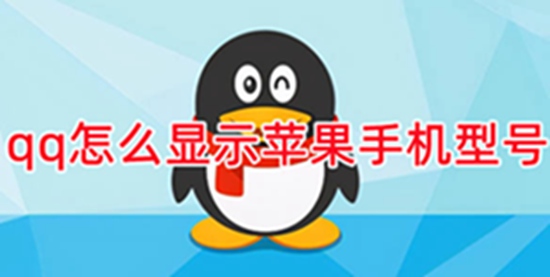 qq怎么显示苹果手机型号 qq显示苹果手机型号教程